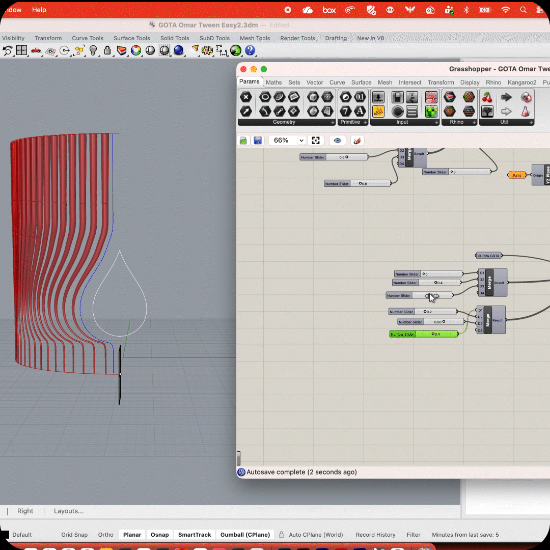 Vestik — anatomía