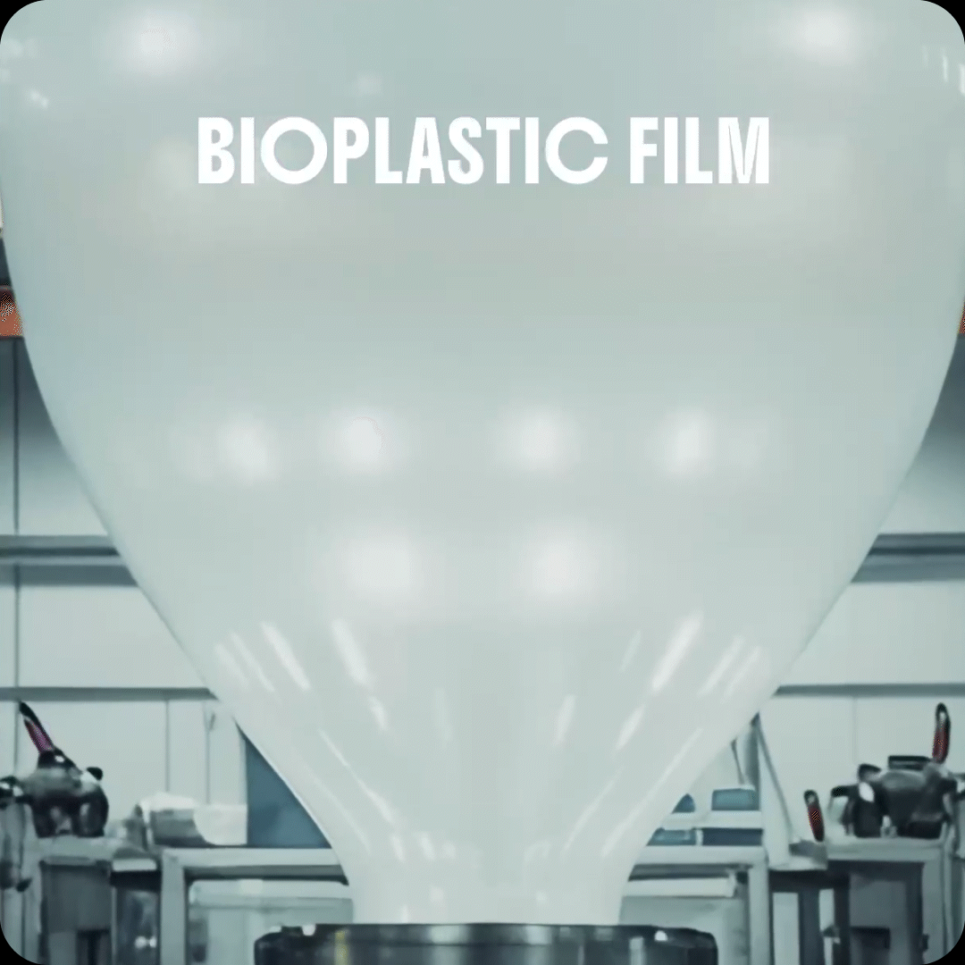 Vestik — electrónica